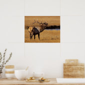 Roosevelt Eull Elk Wyoming ポスター (キッチン)