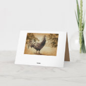 Roosterヴィンテージ写真 カード (裏面)