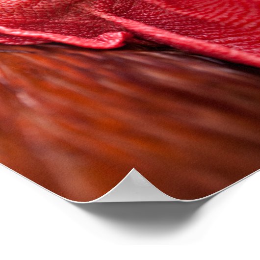 Rooster Face ポスター (角)