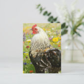 Rooster in a Flower Meadow ポストカード (スタンド正面)