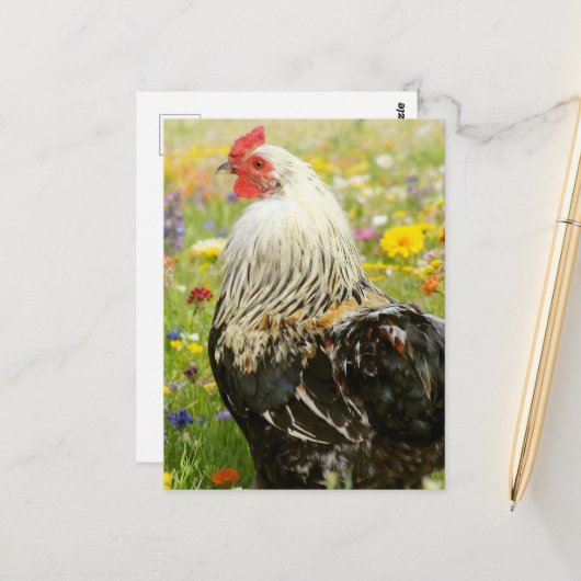 Rooster in a Flower Meadow ポストカード (正面/裏面インサイチュ)