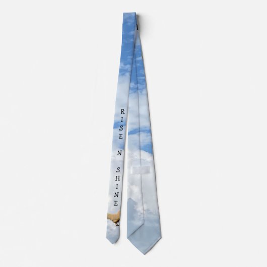 ROOSTER SKY CLOUDS PHOTO NECK TIE ネクタイ (裏面)