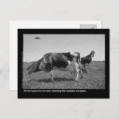 Roostercowsの郵便はがき ポストカード (正面/裏面)