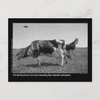 Roostercowsの郵便はがき ポストカード