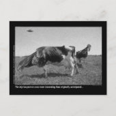 Roostercowsの郵便はがき ポストカード (正面)