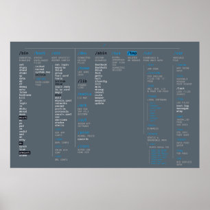 root directory ポスター