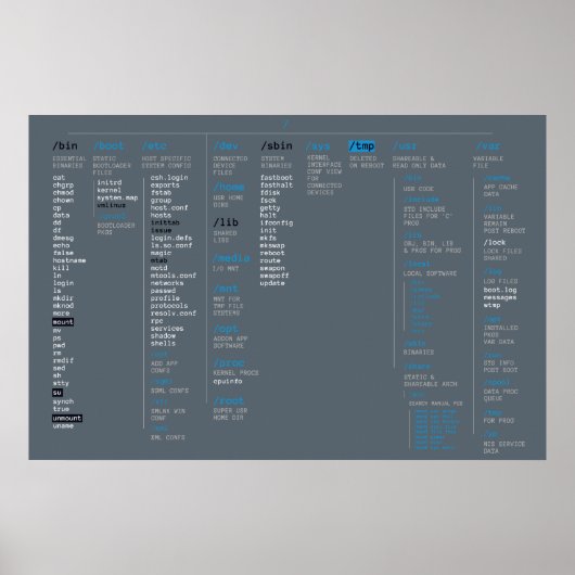 root directory ポスター (正面)