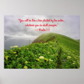 Rooted in Blessings ポスター (正面)