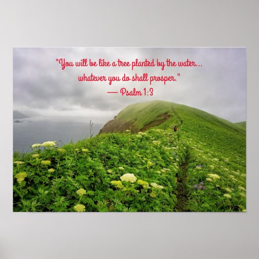 Rooted in Blessings ポスター (正面)