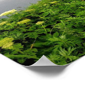 Rooted in Blessings ポスター (角)