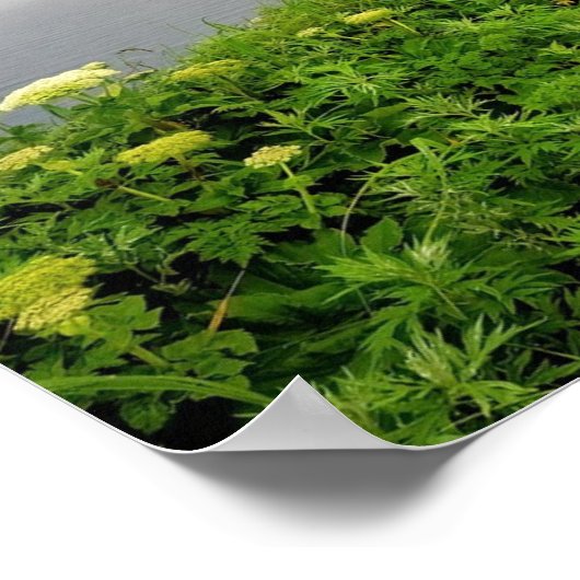 Rooted in Blessings ポスター (角)