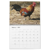 Rooters 2016カレンダー カレンダー (2月 2027)