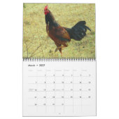 Rooters 2016カレンダー カレンダー (3月 2027)