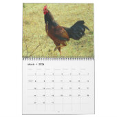 Rooters 2016カレンダー カレンダー (3月 2026)