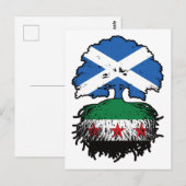 Roots & Crown: Scotland–Syria Tree ポストカード (正面/裏面)