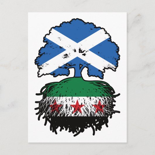 Roots & Crown: Scotland–Syria Tree ポストカード (正面)