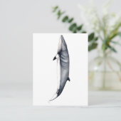 Rorcual aliblanco tarjeta postal, Minke whale card ポストカード (スタンド正面)