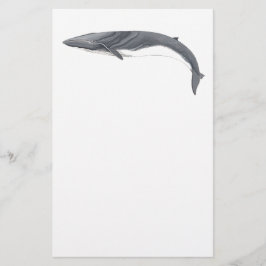 Rorcual comun 便箋