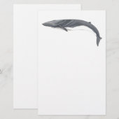 Rorcual comun 便箋 (正面/裏面)