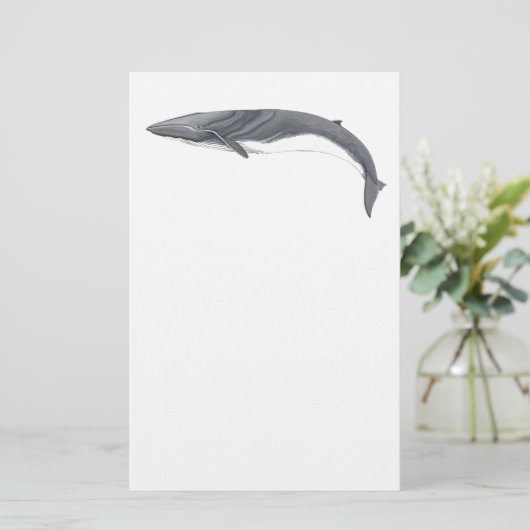 Rorcual comun 便箋 (スタンド正面)