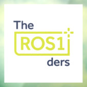 ROS1dersウィンドウスタントデザイン#1 ウィンドウサイン (シート3)