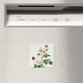 Rosa:ベンガール・ザ・ハイメネス、「レ・バラ」より マグネット (インサイチュ (食洗機))
