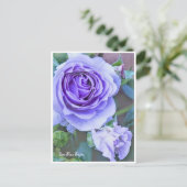Rosa Blue Bajou ポストカード (スタンド正面)