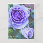 Rosa Blue Bajou ポストカード (正面)