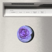Rosa Blue Bajou マグネット (インサイチュ (食洗機))