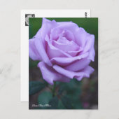 Rosa Blue Moon [Postcard] ポストカード (正面/裏面)