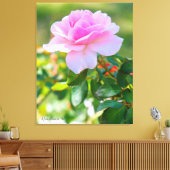 Rosa Bonica '82 キャンバスプリント (インサイチュ (リビング))
