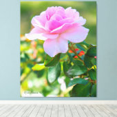 Rosa Bonica '82 キャンバスプリント (インサイチュ (ウッドフロア))