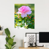 Rosa Bonica '82 ポスター (ホームオフィス)