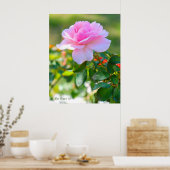 Rosa Bonica '82 ポスター (キッチン)