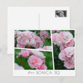  Rosa Bonica '82 ポストカード (正面/裏面)