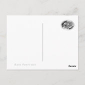 Rosa Bonica '82 ポストカード (裏面)