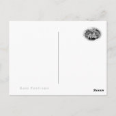 Rosa Bonica '82 ポストカード (裏面)