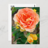 Rosa Brass Band [Postcard] ポストカード (正面/裏面)