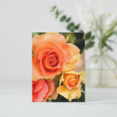 Rosa Brass Band：Postcard ポストカード (スタンド正面)