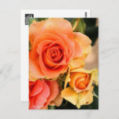 Rosa Brass Band：Postcard ポストカード (正面/裏面)