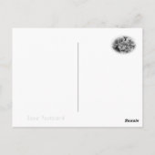 Rosa Cerezo ポストカード (裏面)