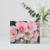 Rosa Cerezo ポストカード (スタンド正面)