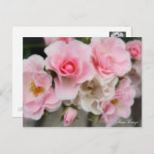 Rosa Cerezo ポストカード (正面/裏面)