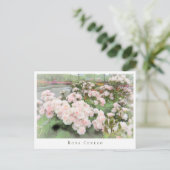 Rosa Cerezo ポストカード (スタンド正面)