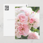 Rosa Cerezo：Postcard_ver.2.0 ポストカード (正面/裏面)