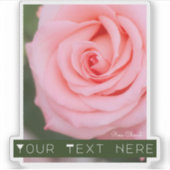 Rosa Cherish [Cut Seal] シール (正面)
