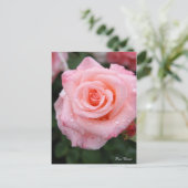 Rosa Cherish [Postcard] ポストカード (スタンド正面)