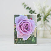 Rosa Climbing Blue Moon ポストカード (スタンド正面)