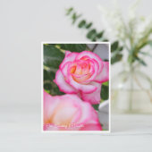Rosa Climbing Minuette ポストカード (スタンド正面)
