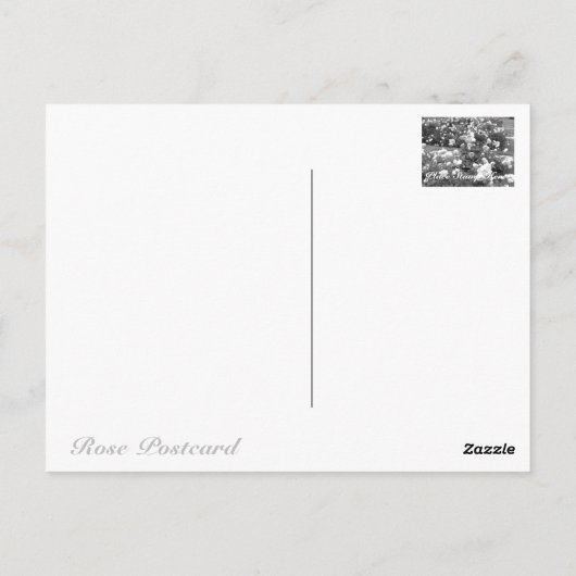 Rosa Clotilde Soupert ポストカード (裏面)